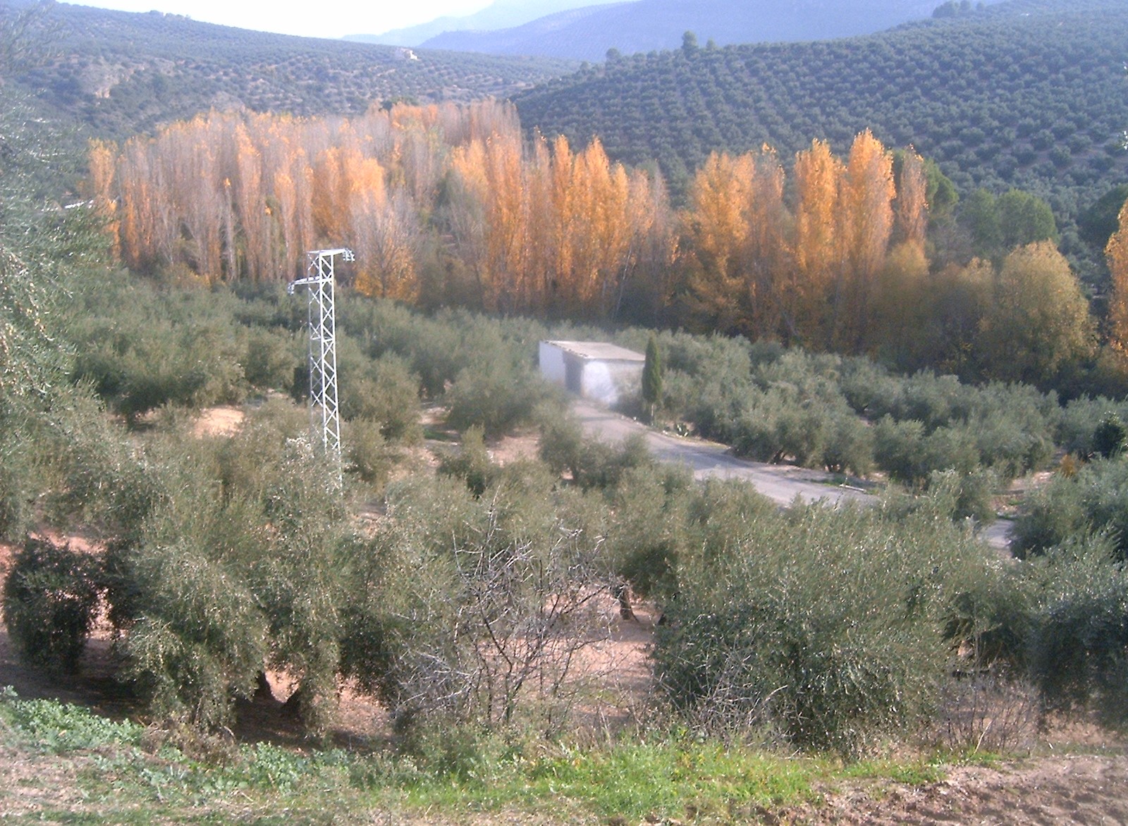 Abastecimiento de La Loma