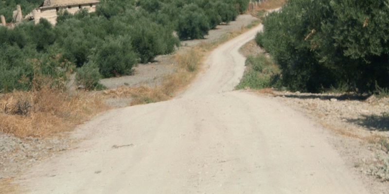 Anteproyecto de los Caminos Agrícolas del Término Municipal de Cazorla, Jaén
