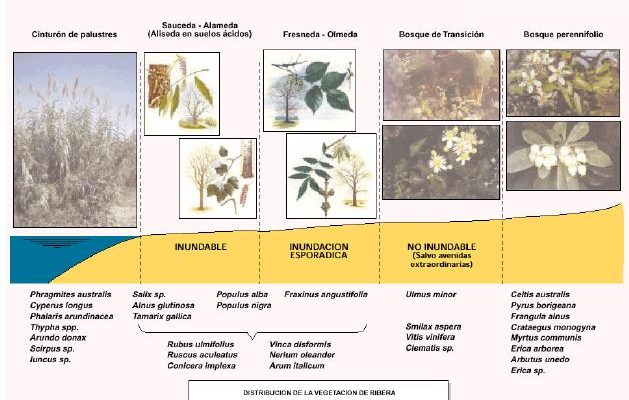 Estudio de Impacto Ambiental PGOU Porcuna, Jaén