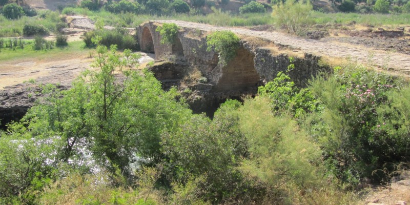 Estudio Hidrológico Puente Mocho, Beas de Segura, Jaén