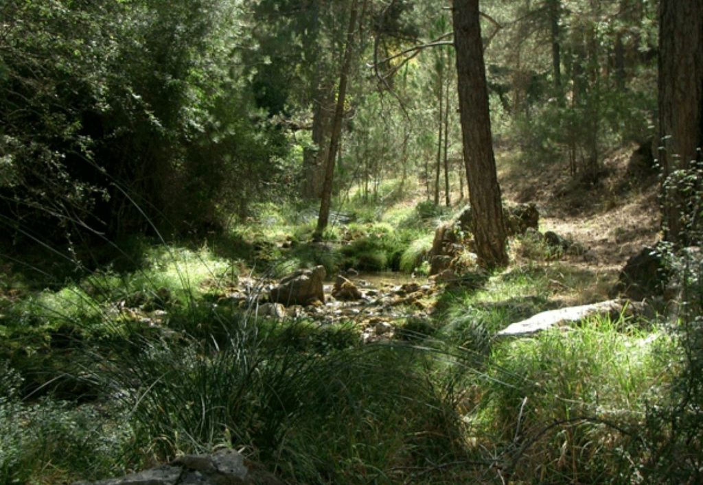 Evaluación Ambiental Estratégica PGOU Quesada, Jaén